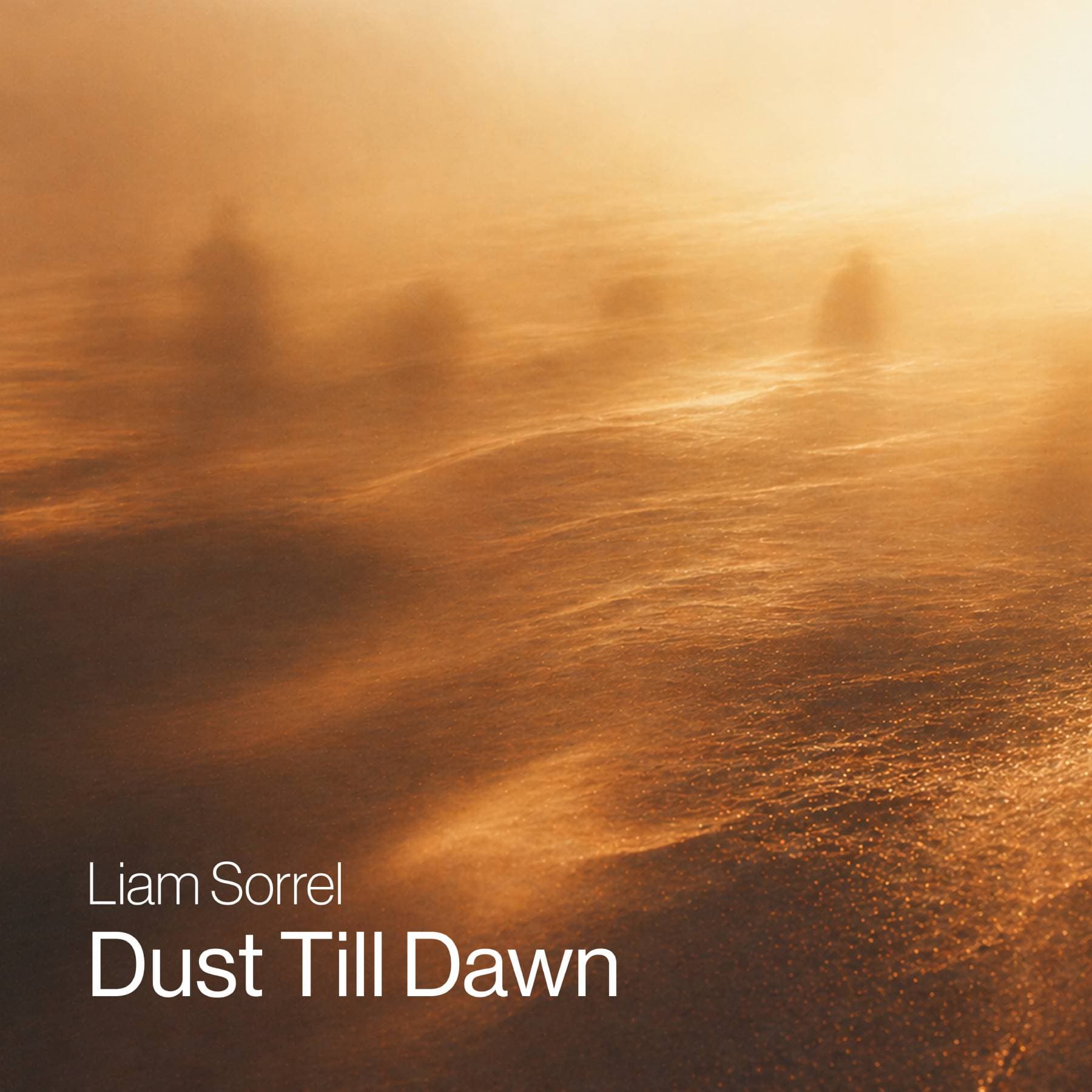 Dust Till Dawn